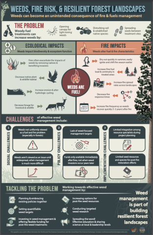 Screenshot of infographic (PDF) Weeds, Fire Risk and Resilient Forest Landscapes