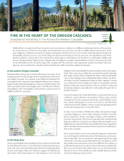 More information about Research Brief: Fire in the heart of the Cascades