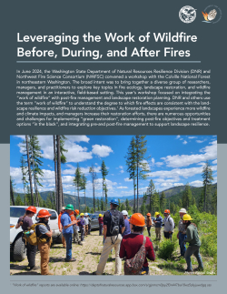 View / Download the WOW PDF