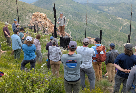 a group at a workshop stands around burned trees and stumps. 
