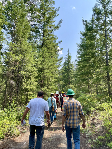 Land managers walking in a green forest