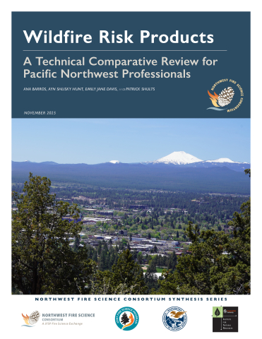 Cover of Wildfire Risk Products Synthesis