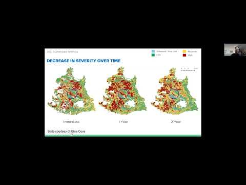 Susan Pritchard on Tripod Complex monitoring