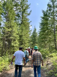 Land managers walking in a green forest